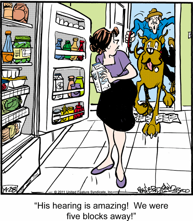 marmaduke